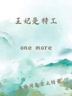 王妃是特工